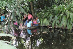Un oasis en San Alvador, El Plan de La Laguna.
