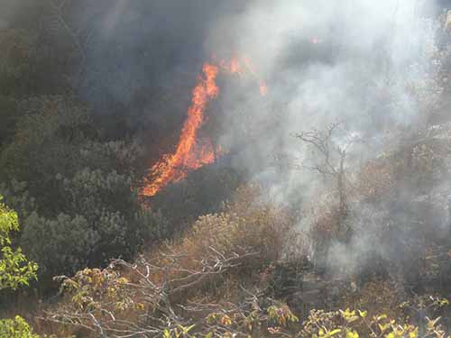 incendio3