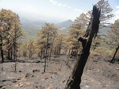 incendio4