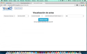 Esta es la "información" que refleja el sitio del TSE sobre los resultados.
