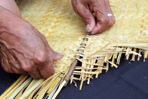 La aguja de güiscoyol, es su mejor aliada.